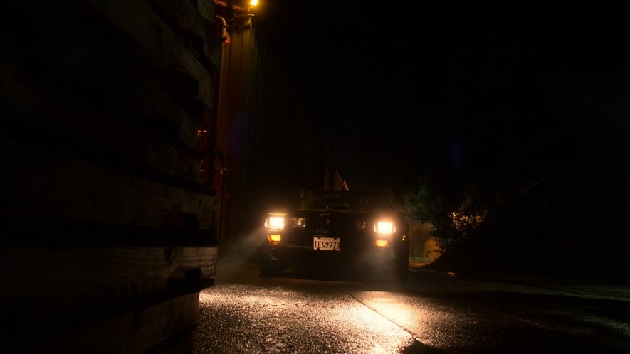 1979 Pontiac Firebird Trans Am