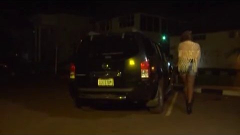 2005 Nissan Pathfinder [R51]