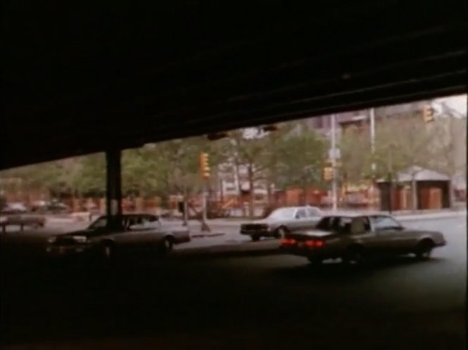 1981 Buick Regal