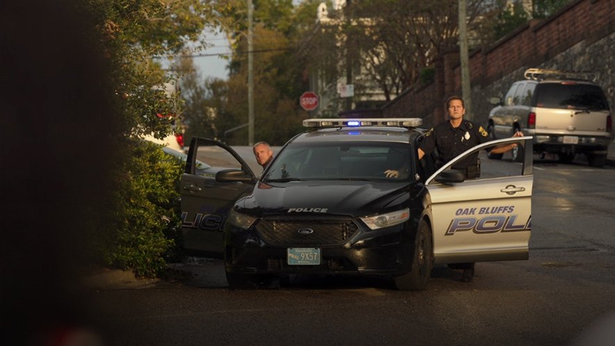 2013 Ford Police Interceptor