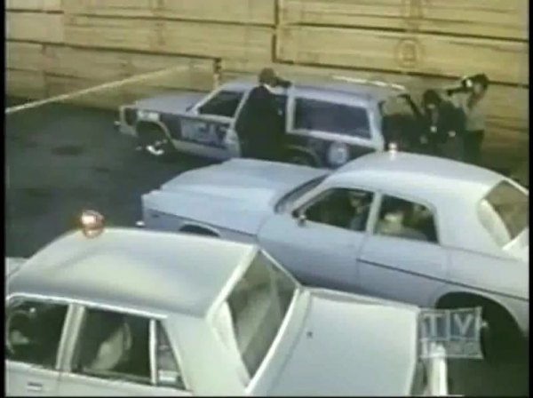 1981 Dodge Diplomat