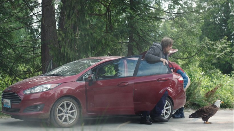 2014 Ford Fiesta
