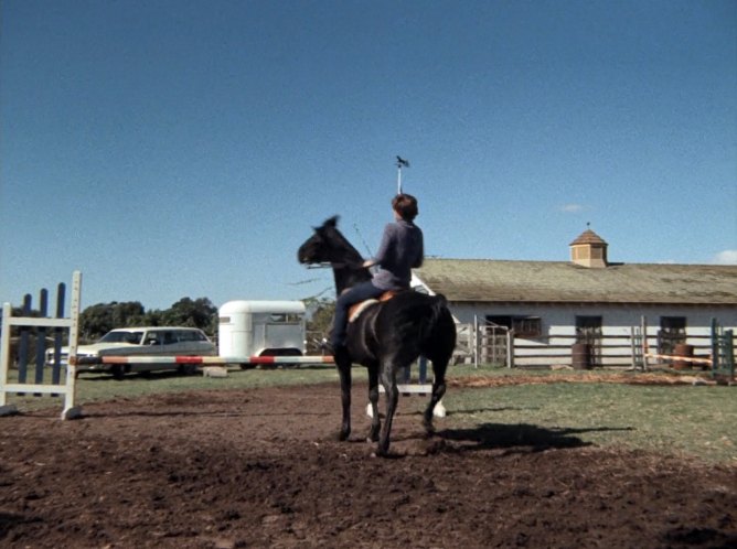1969 Ford Custom 500 Ranch Wagon