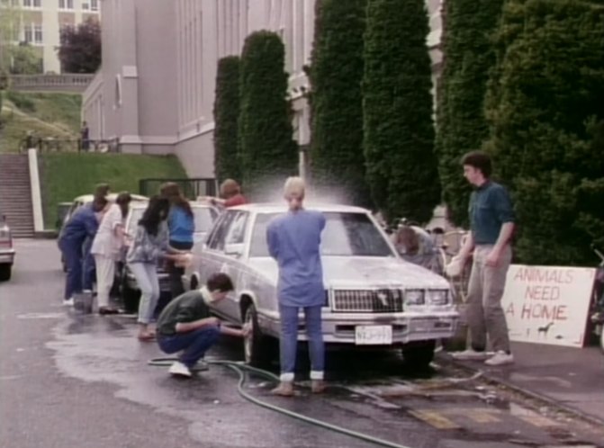 1983 Plymouth Caravelle