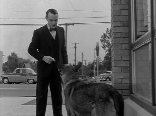 1957 Austin A55 Cambrian MkI [HS6]