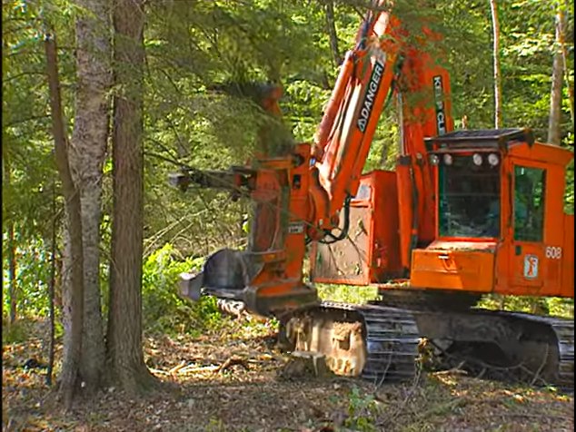 Timberjack 608 Feller Buncher