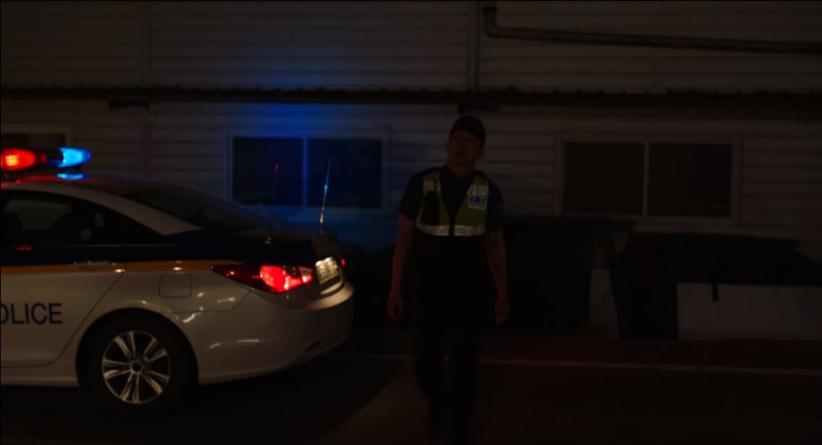 2010 Hyundai Sonata [YF]