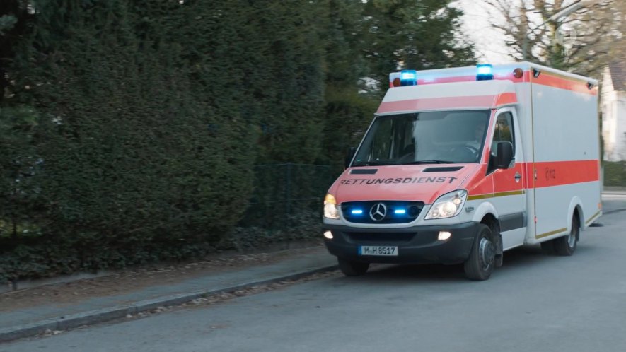 2006 Mercedes-Benz Sprinter RTW WAS [W906]