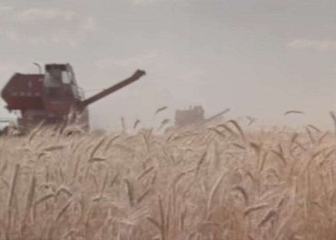 Rostselmash SK-5 Niva