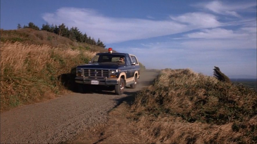 1982 Ford Bronco