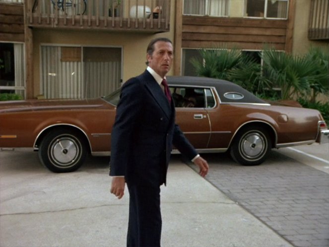 1974 Lincoln Continental Mark IV [89-65D]