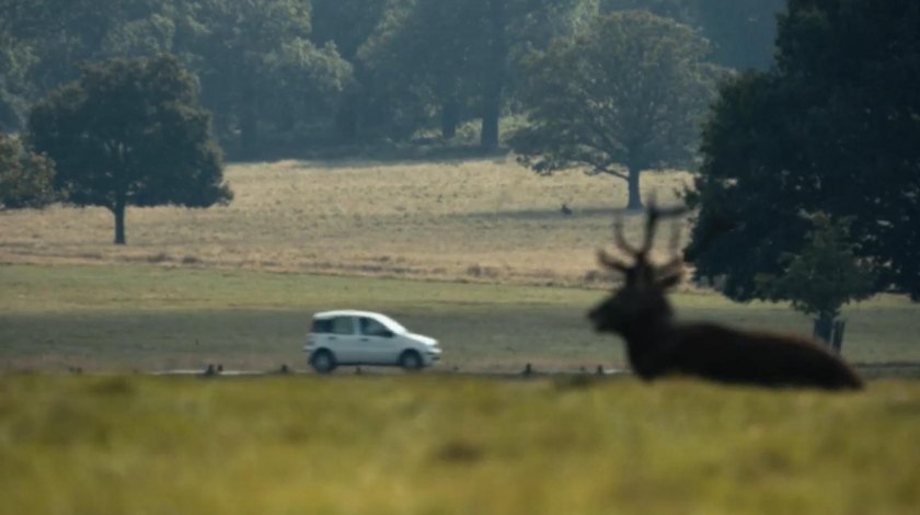 2012 Fiat Panda Classic [169]