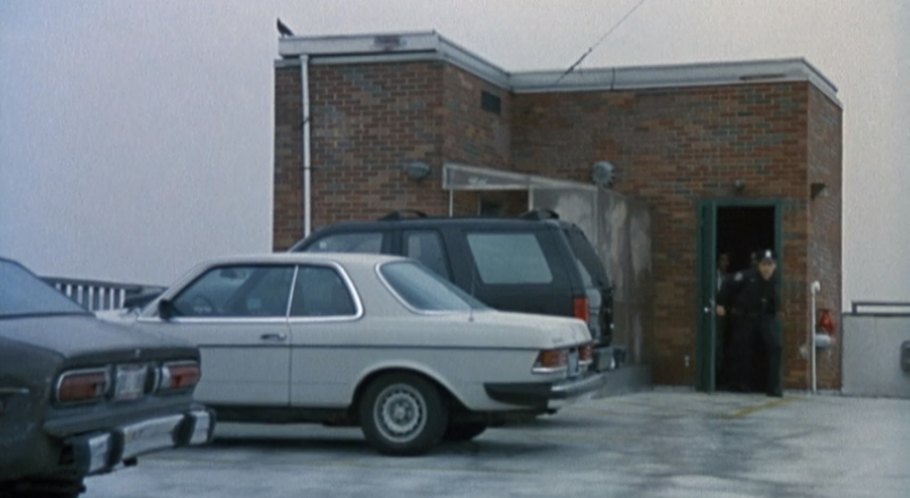Mercedes-Benz [W123]