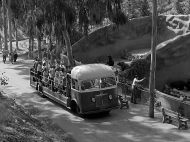 unknown San Diego Zoo Tour Bus
