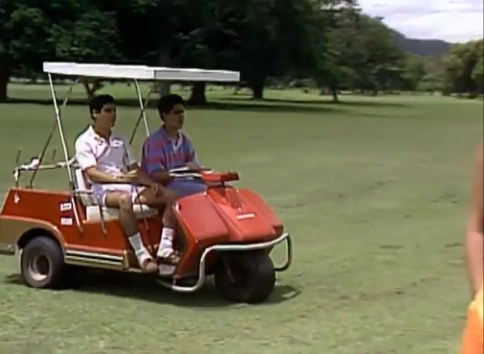 Harley-Davidson Golf Cart