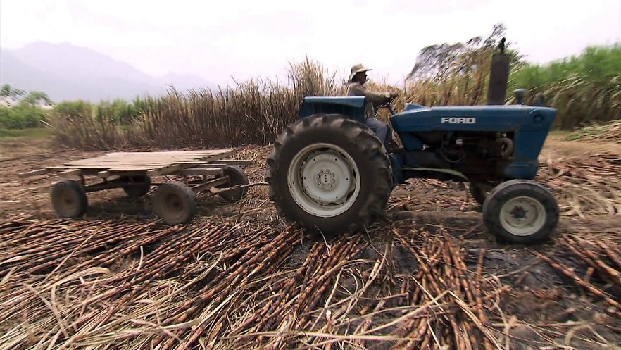 Ford 6600