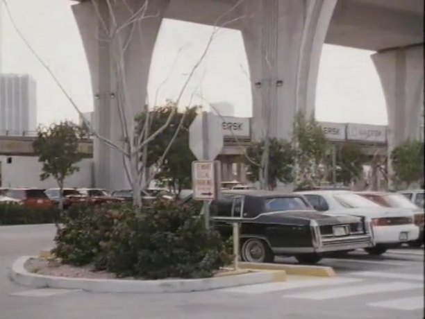 1980 Cadillac Fleetwood Brougham