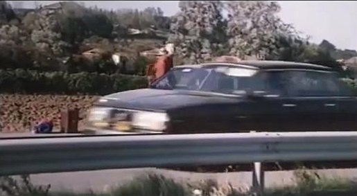 1981 Volvo 244 GL [244]