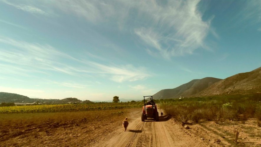 Massey Ferguson unknown