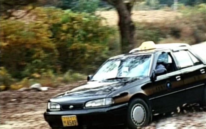 1991 Hyundai Sonata [Y2]