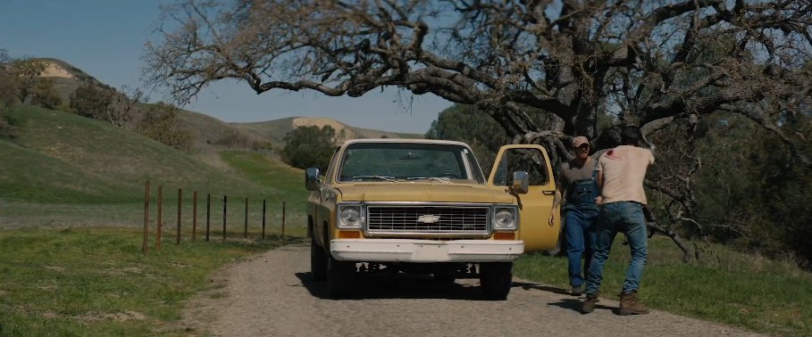 1973 Chevrolet C-Series