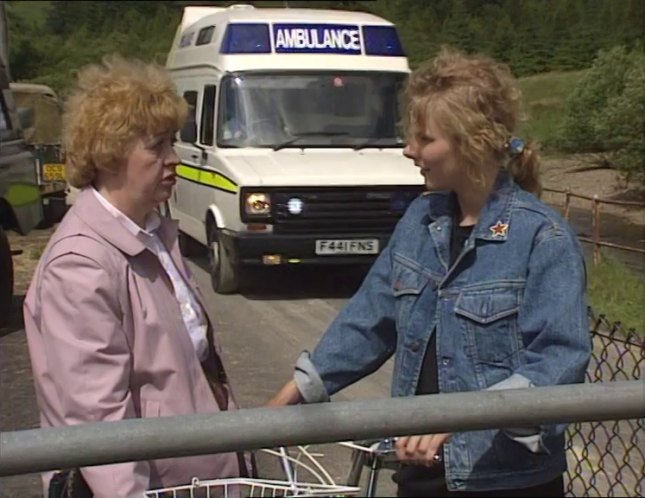 1988 Freight Rover Sherpa 310 Wadham Stringer