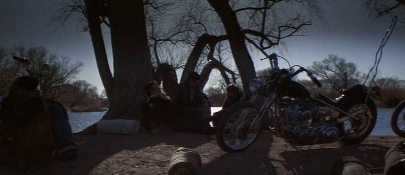 Harley-Davidson Custom Chopper