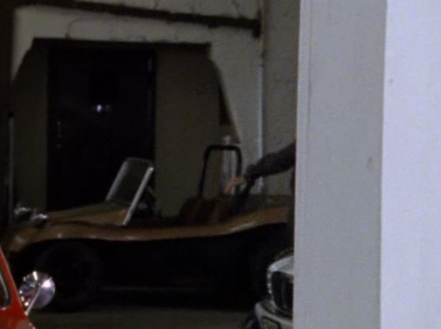 Meyers Manx