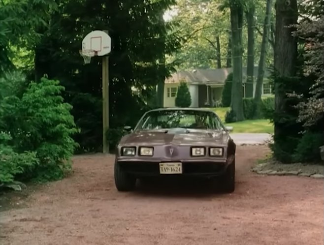 1979 Pontiac Firebird Trans Am