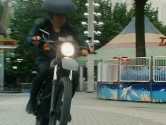 Suzuki TS
