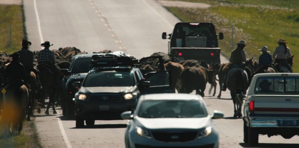 2010 Ford F-150 SVT Raptor [P415]