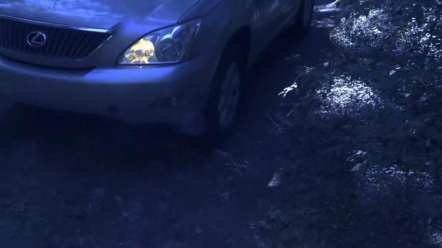 2004 Lexus RX [XU30]