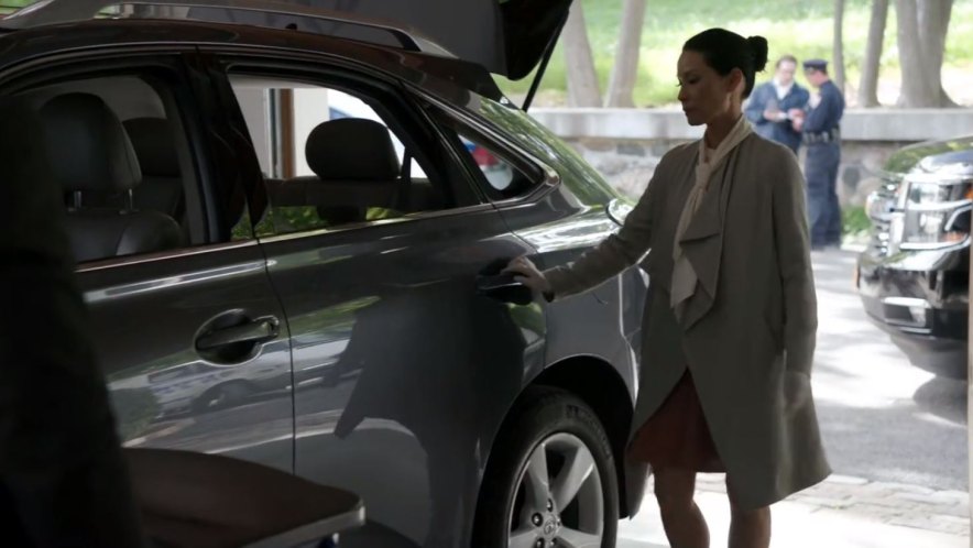 2010 Lexus RX [AL10]