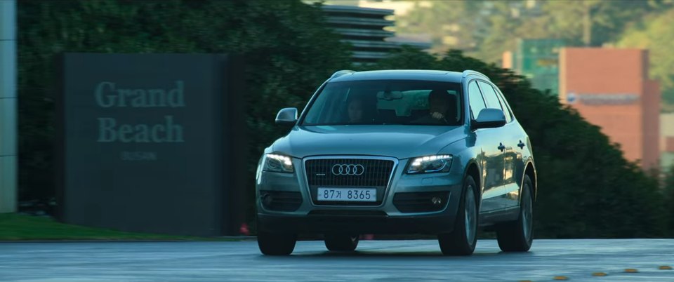 2009 Audi Q5 2.0 TDI quattro [Typ 8R]