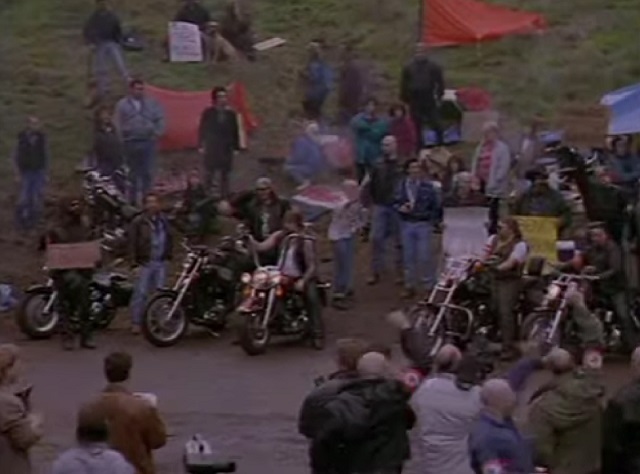 Harley-Davidson FXSTC (by default)