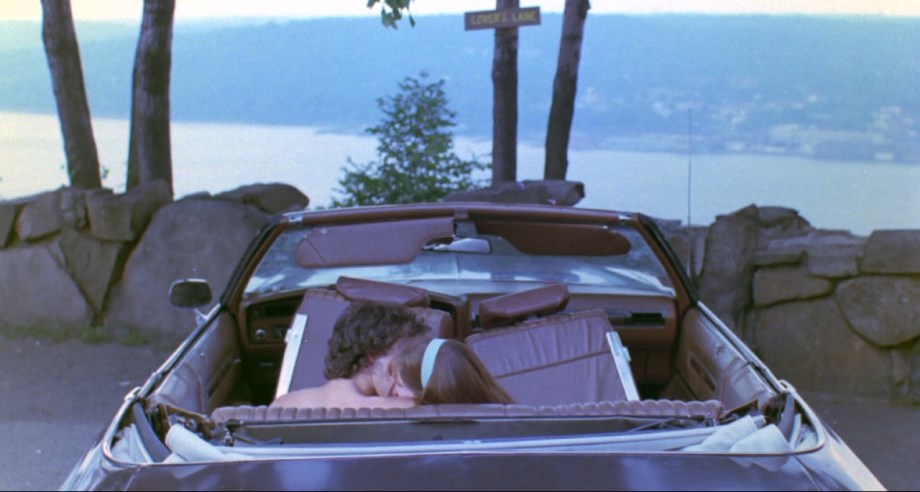 1973 Buick Centurion