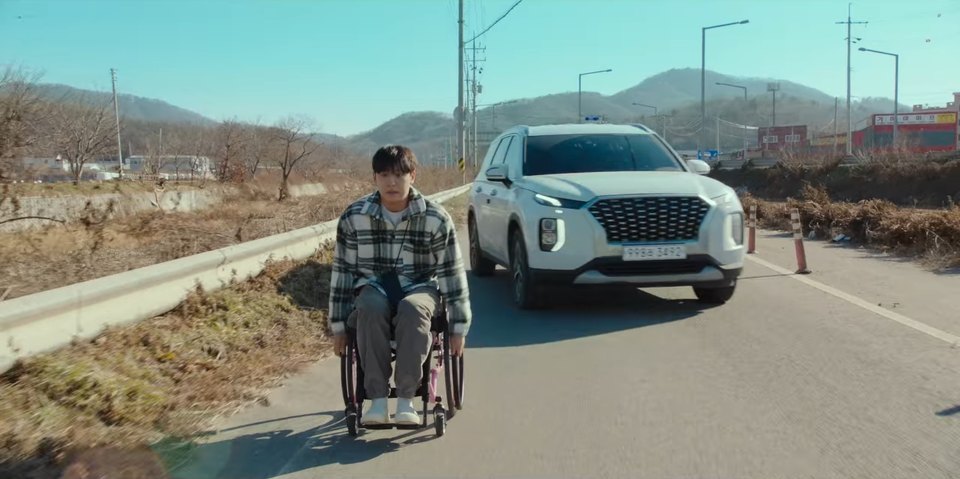 2019 Hyundai Palisade [LX2]