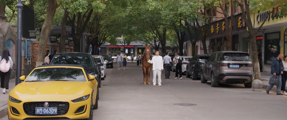 2017 Land-Rover Discovery Series V [L462]