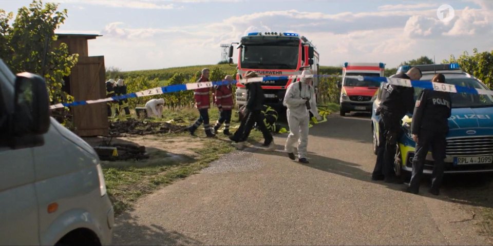 2019 Ford S-Max MkII [CD539]