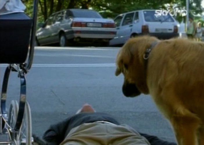 1987 Rover 200 [SD3]