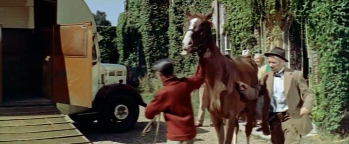 Bedford O-Type Horse-box