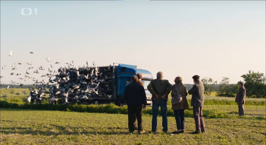 MAN LE 2000 Pigeon Transporter