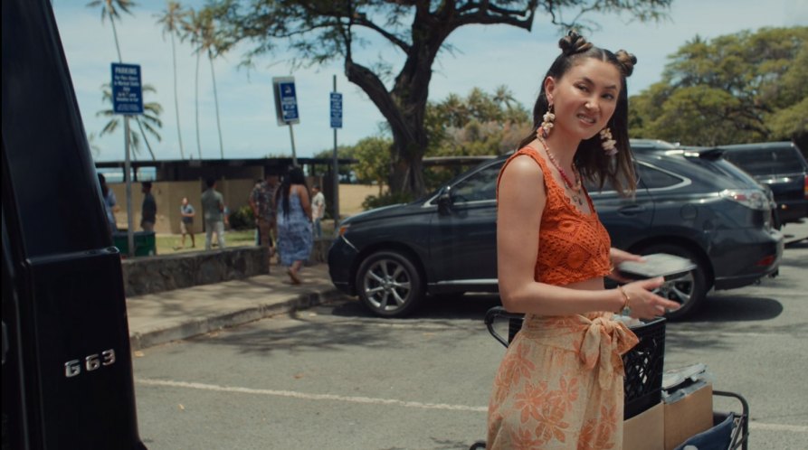 2010 Lexus RX [AL10]