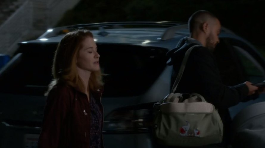 2010 Lexus RX [AL10]