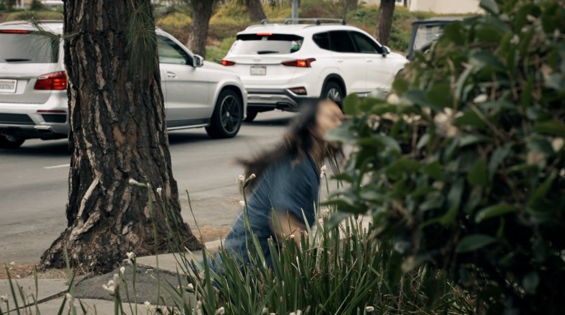 2019 Hyundai Santa Fe [TM]