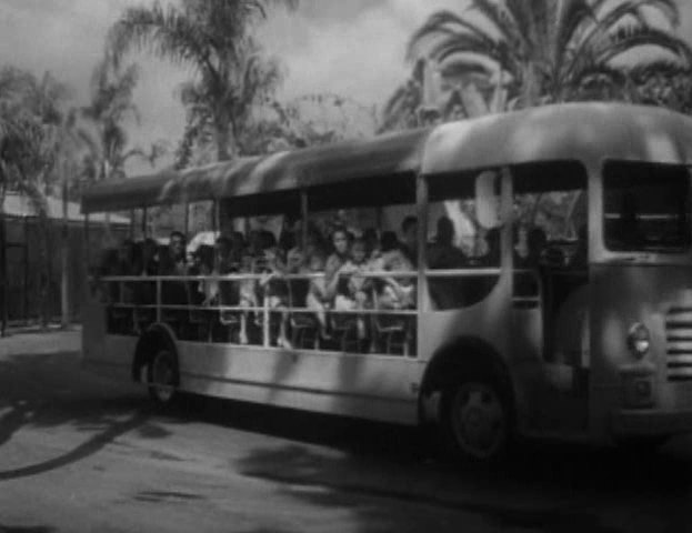 unknown San Diego Zoo Tour Bus