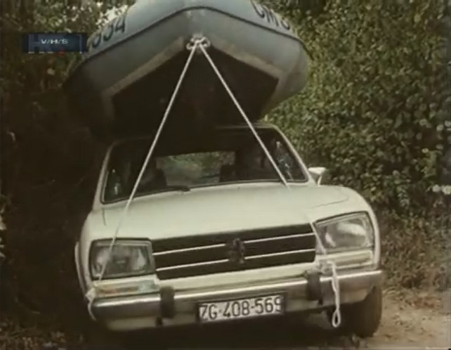 1980 Peugeot 504