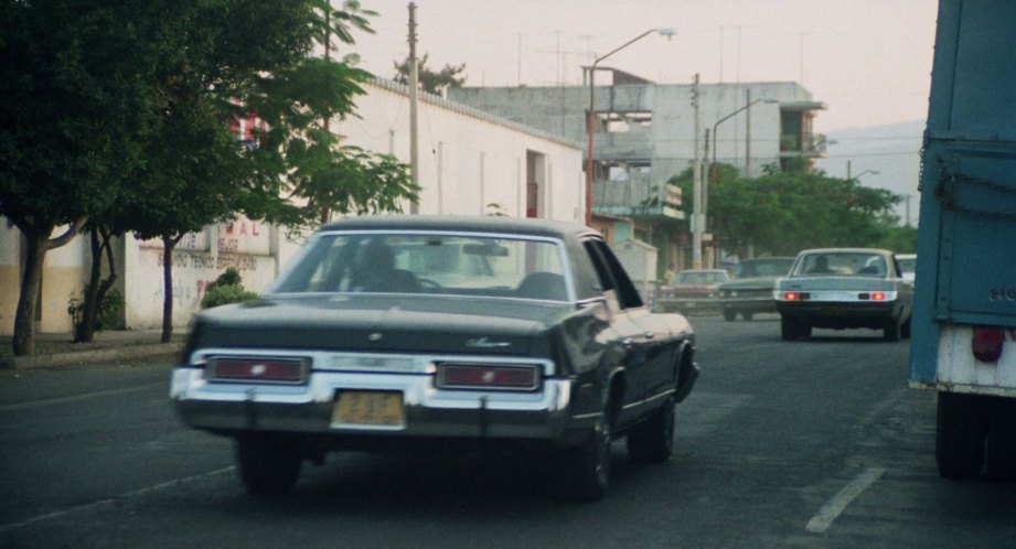 1974 Dodge Monaco
