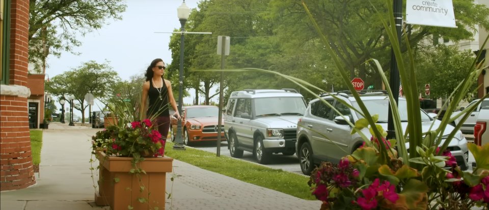 2003 Land-Rover Discovery Series II [L318]