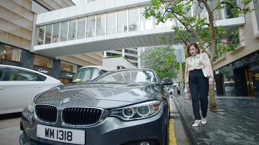 BMW 4 [F33]